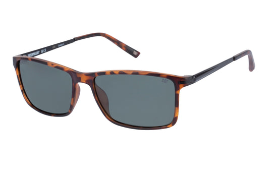 Gafas de sol PC en carey mate con lente verde sólido