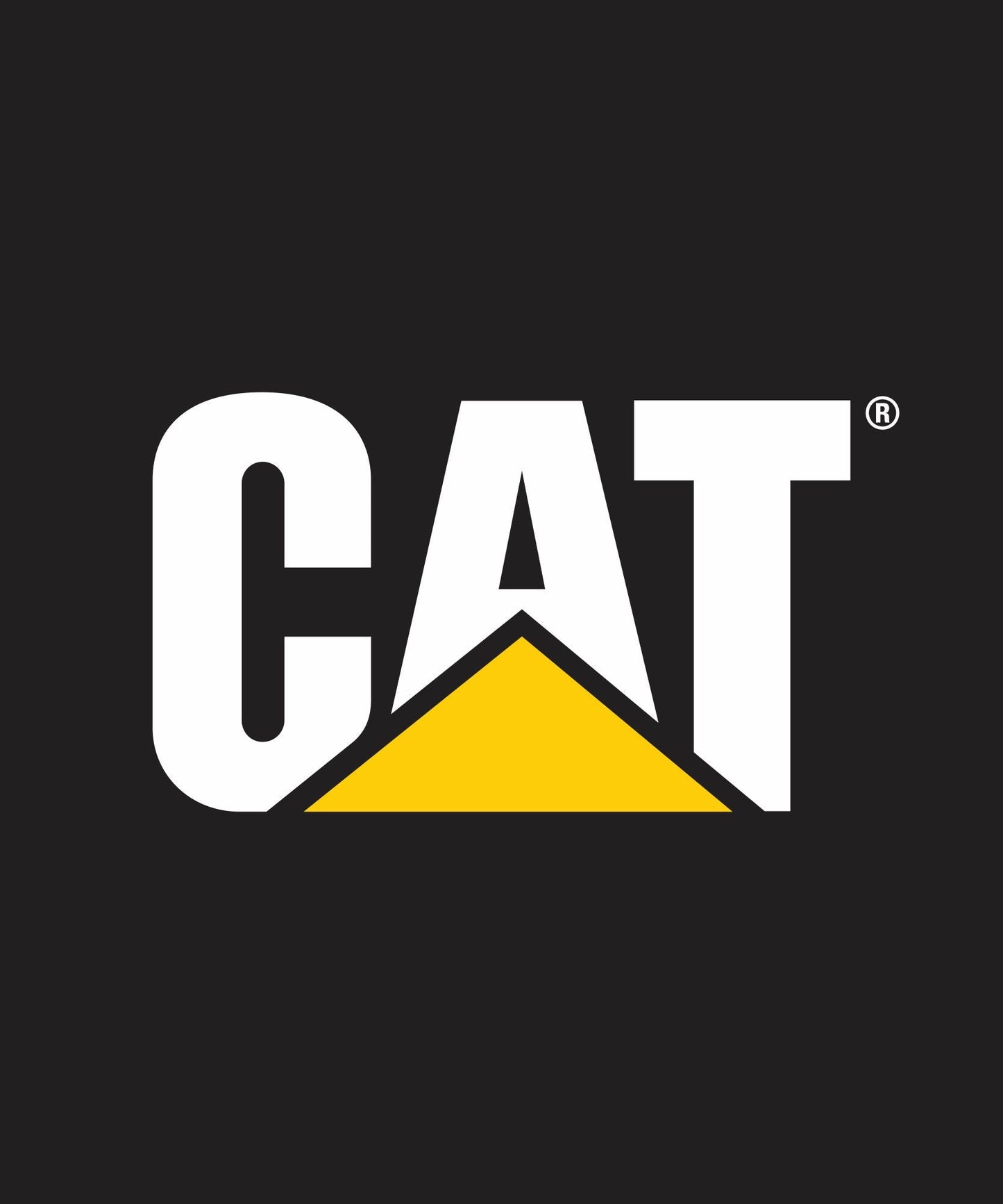 Manta de gato de ensueño