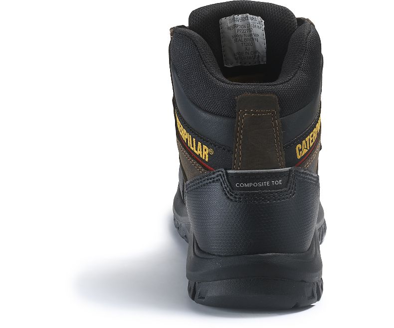 Bota WP de TC de reabsorción